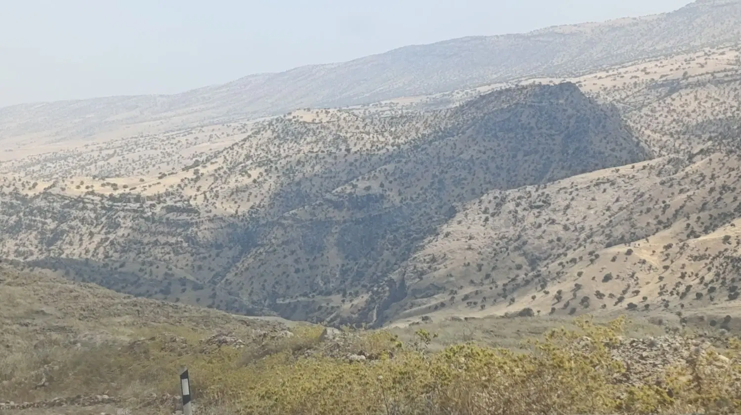 فروش زمین کشاورزی تنگه چنار