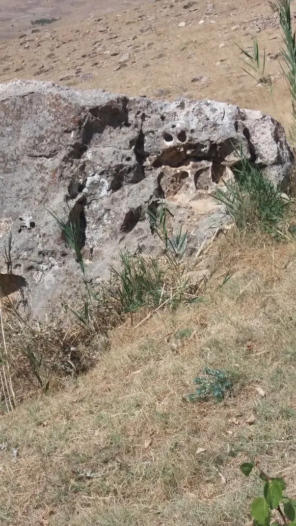 فروش باغ