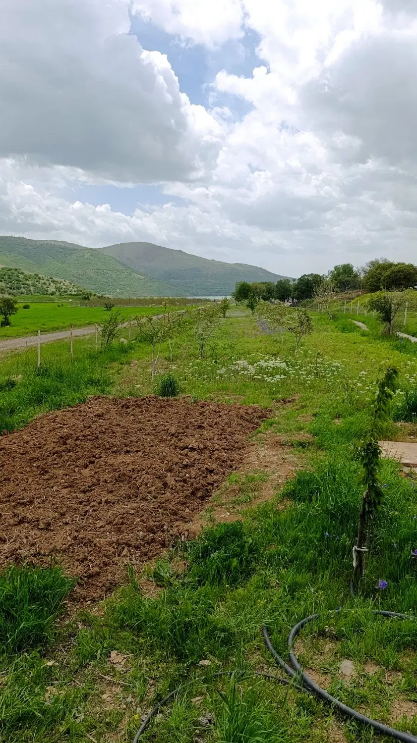 باغ آماده  دسترسی نزدیک منطقه بسیار دلنشین