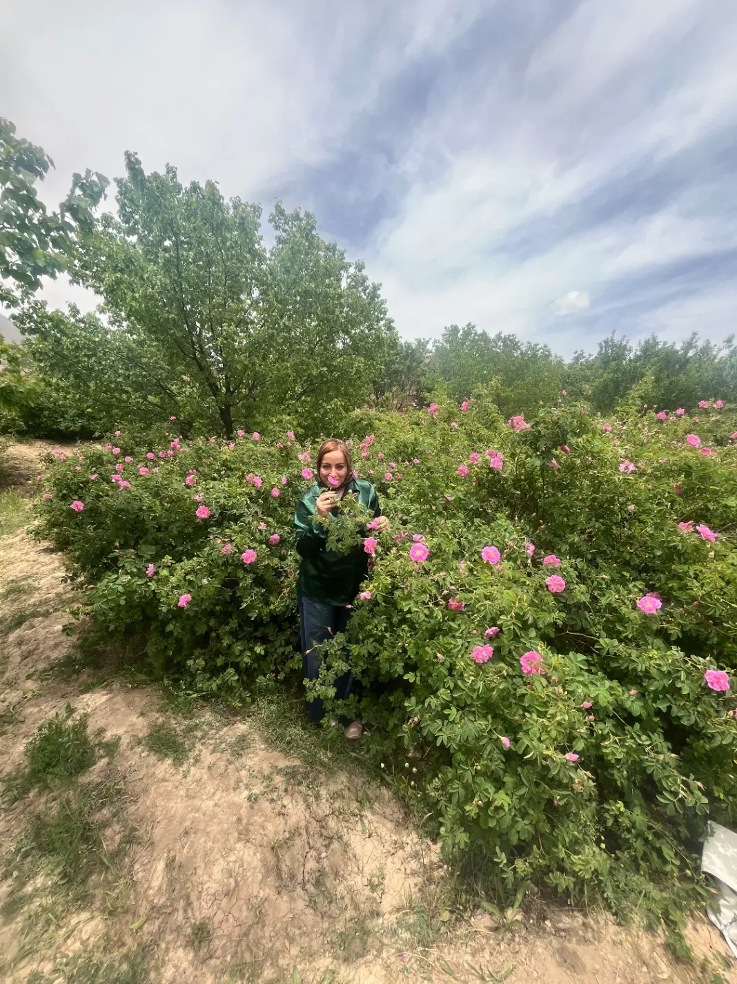 زمین فروشی در روستای میشیجان علیا