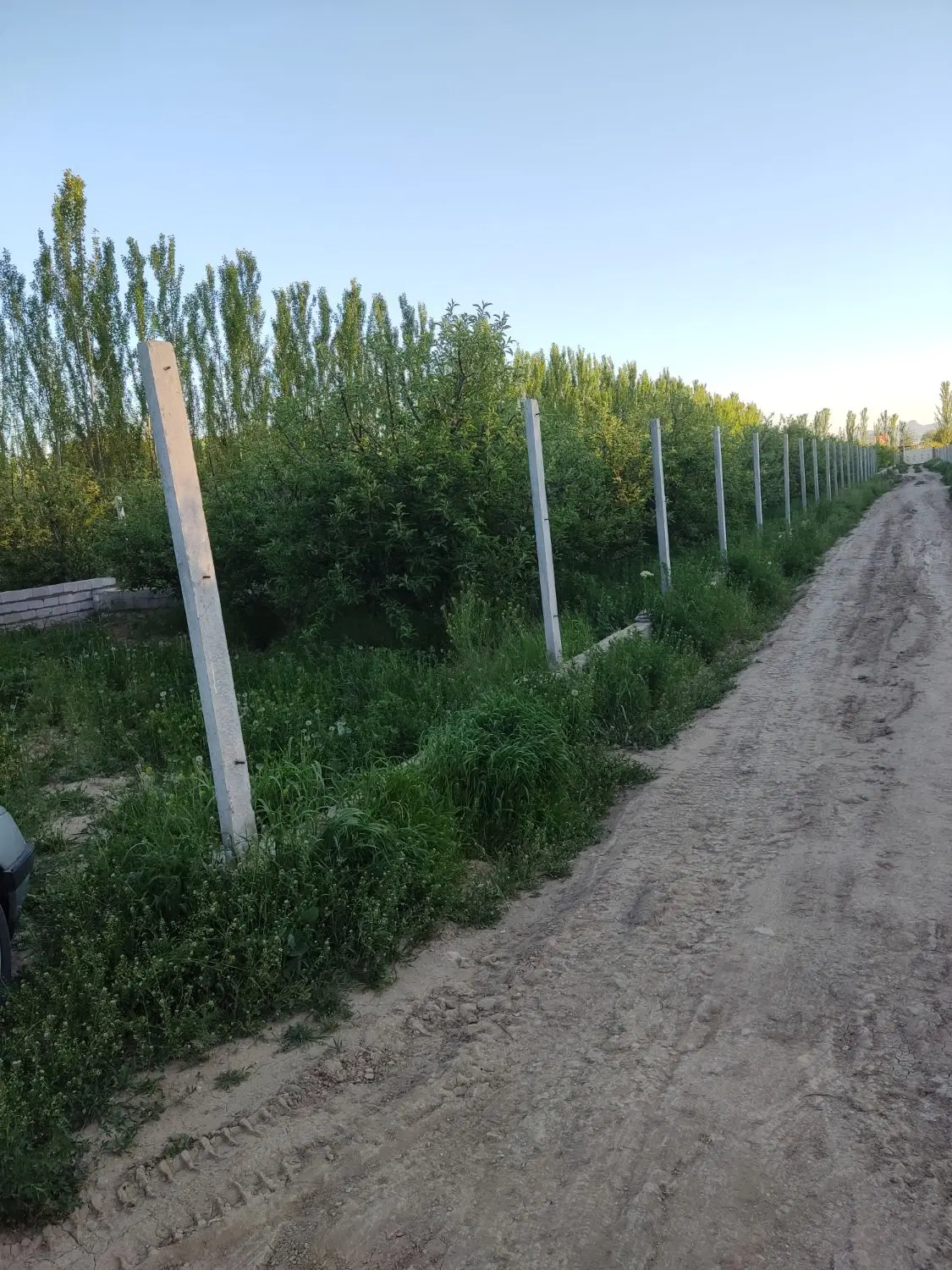 باغ کشاورزی و ویلایی