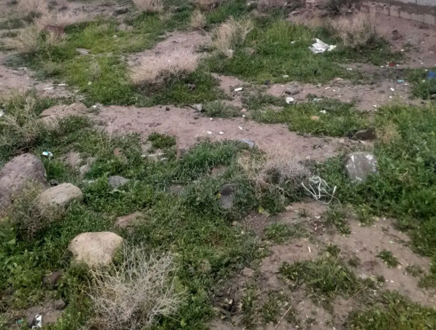 زمین تجاری مسکونی