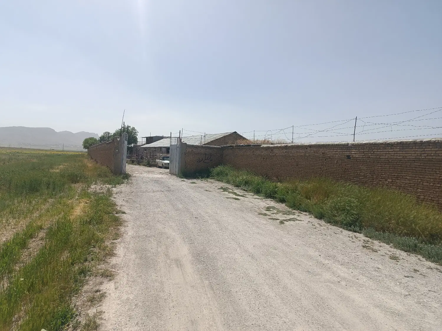 گاوداری شهر کیان شهرکرد