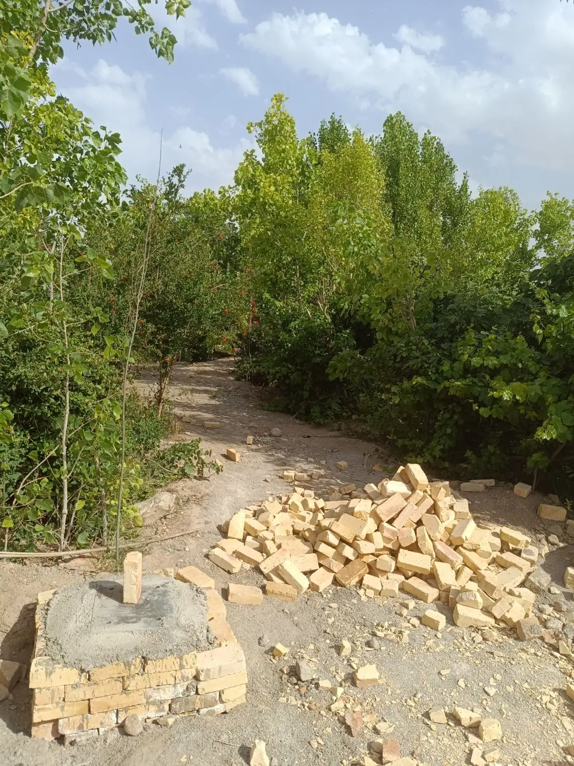 باغچه