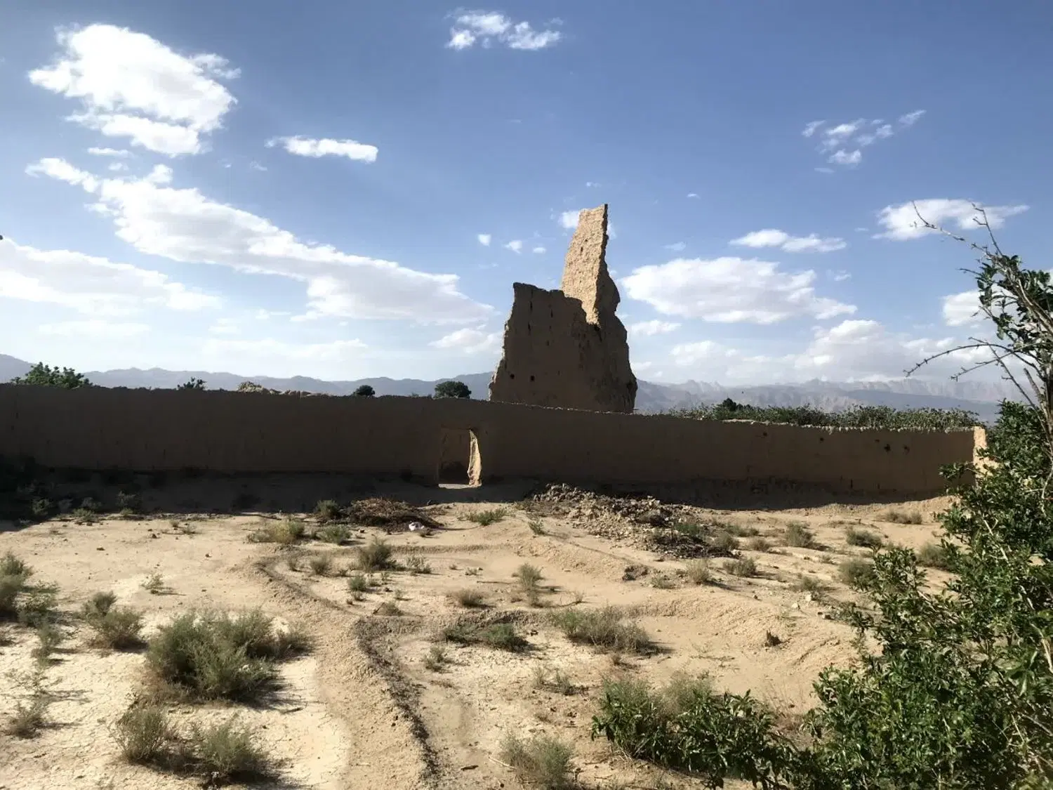 فروش زمین باغ