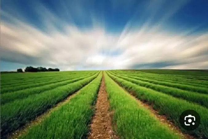 فروش 180 متر  زمین انجیره