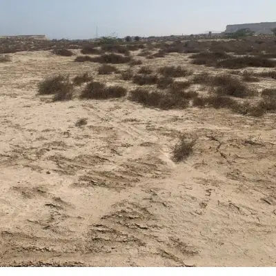 زمین خالی تلمبو