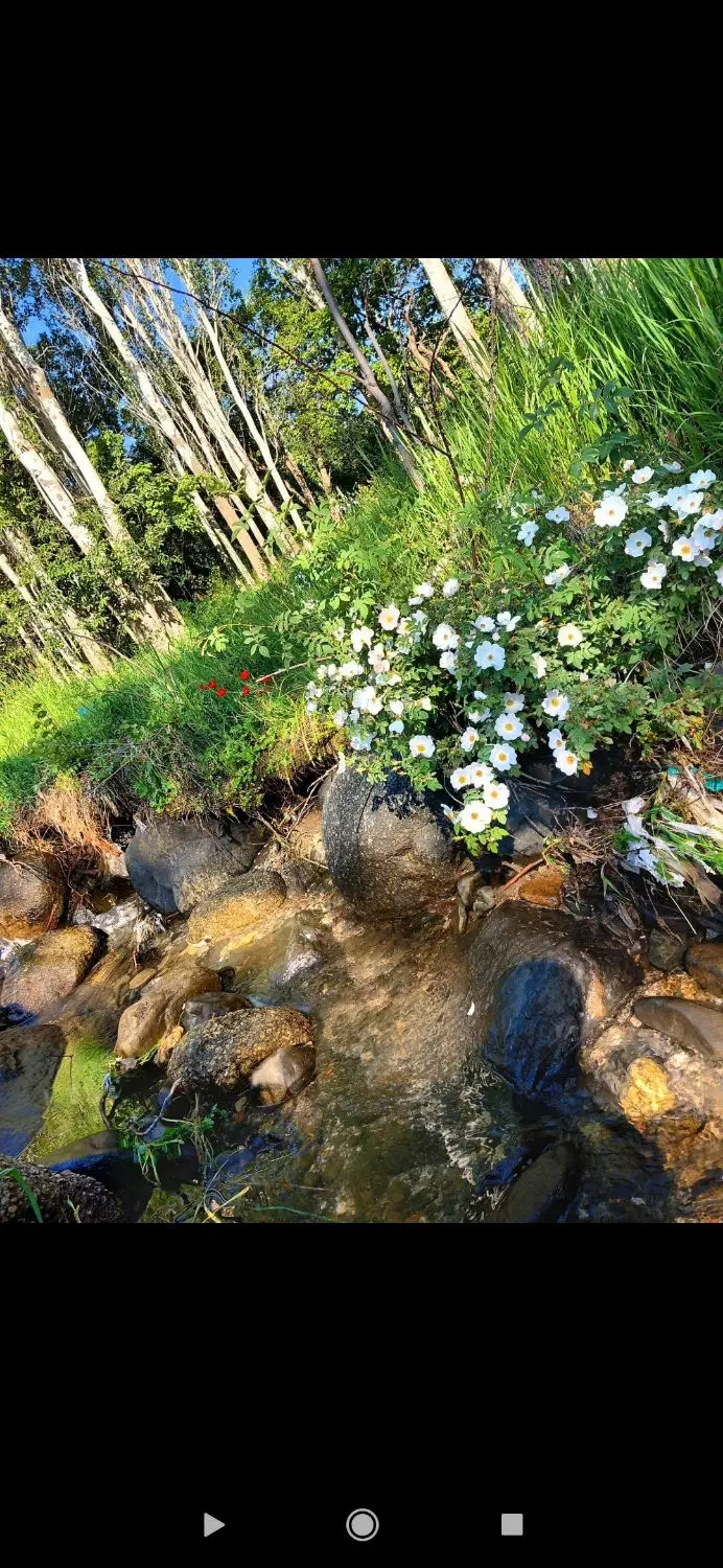 فروش باغ روستای حصار قره باغی