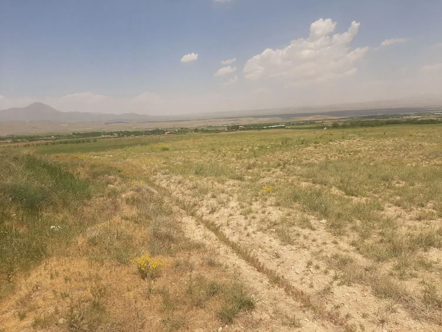 زمین کشاورزی و باغی