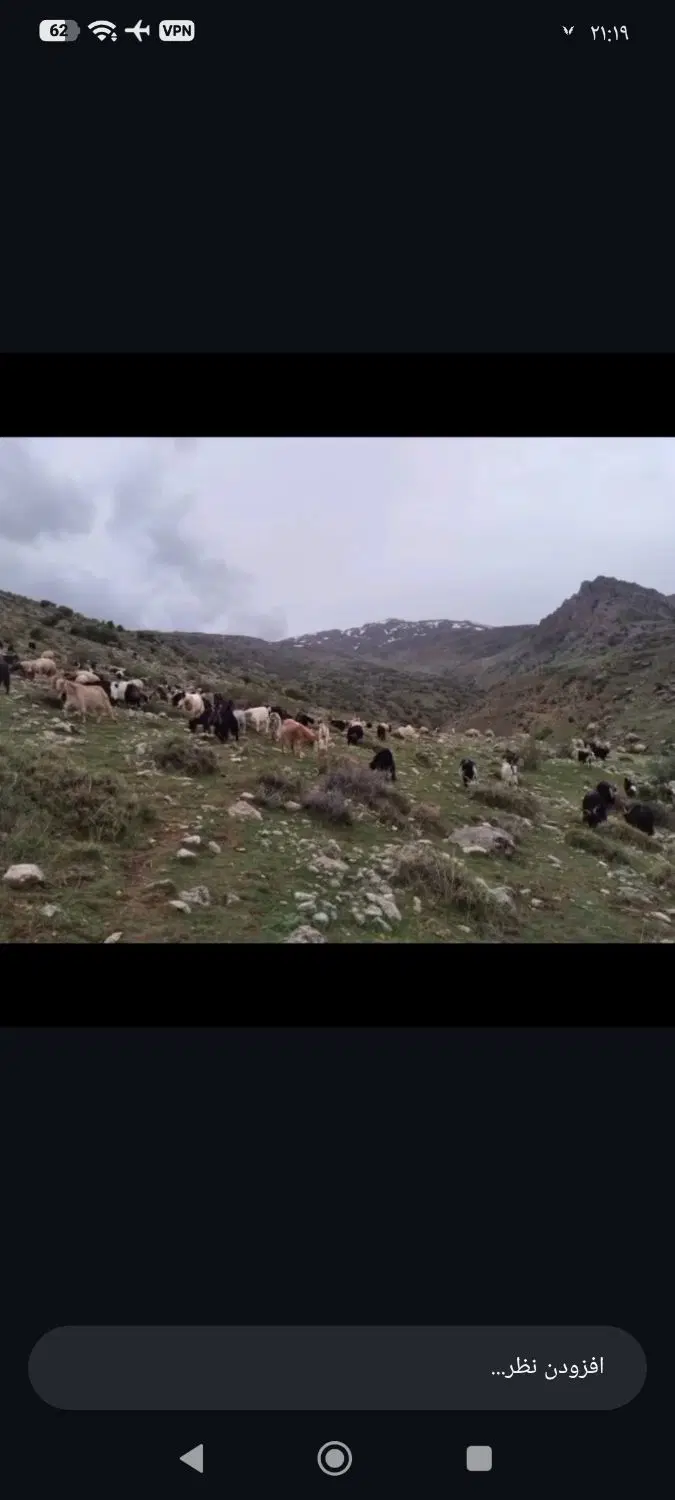 زمین ۷۵ کوی آزادی