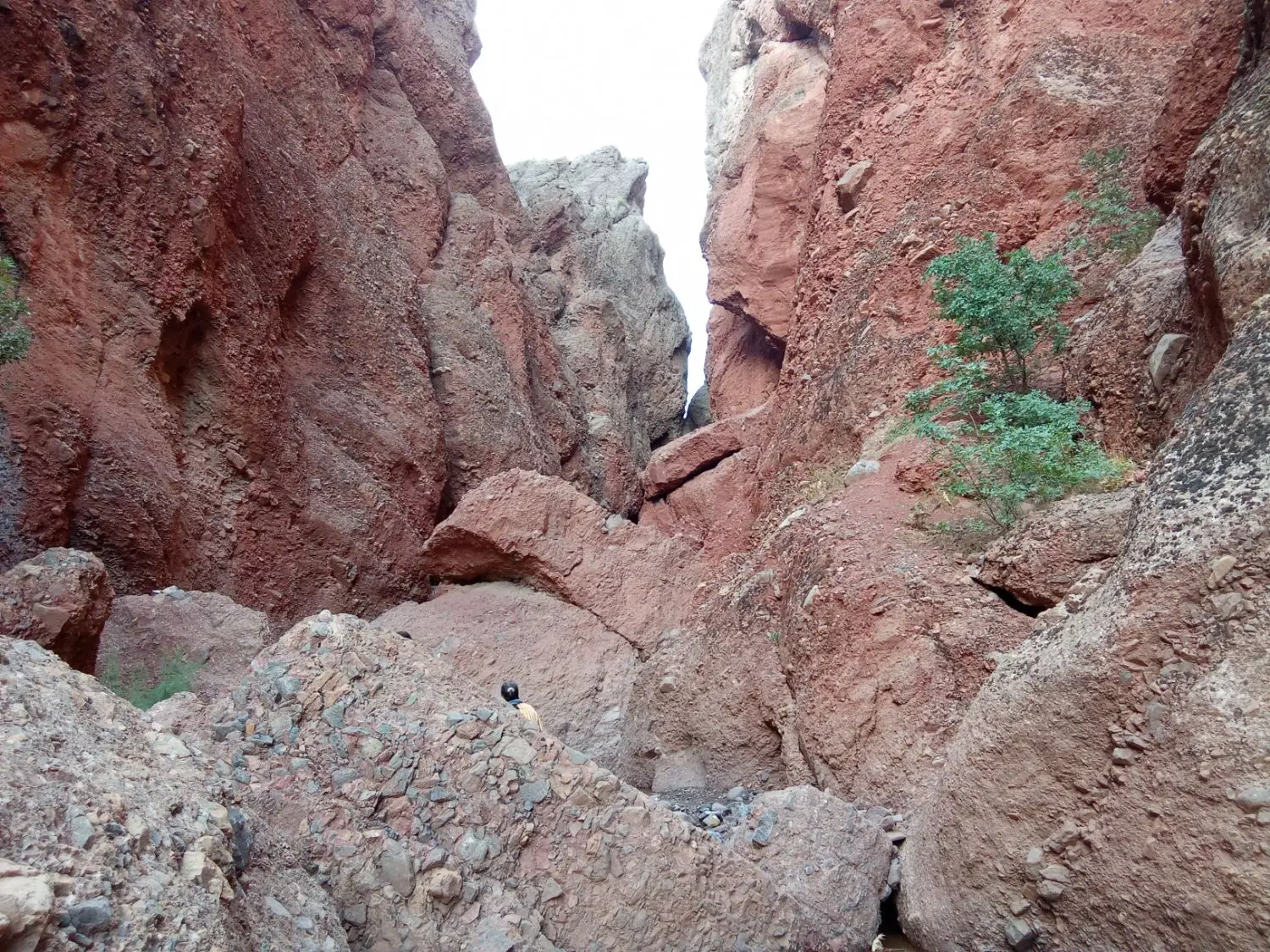 زمین فوشنجان