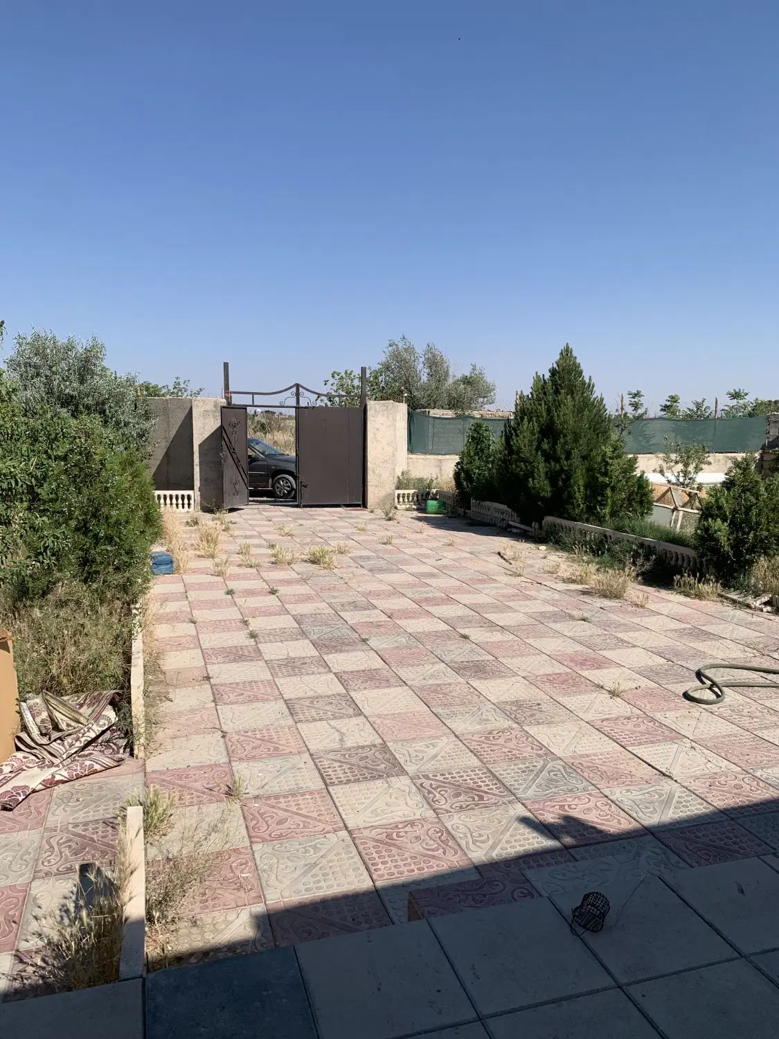 باغ و باغچه