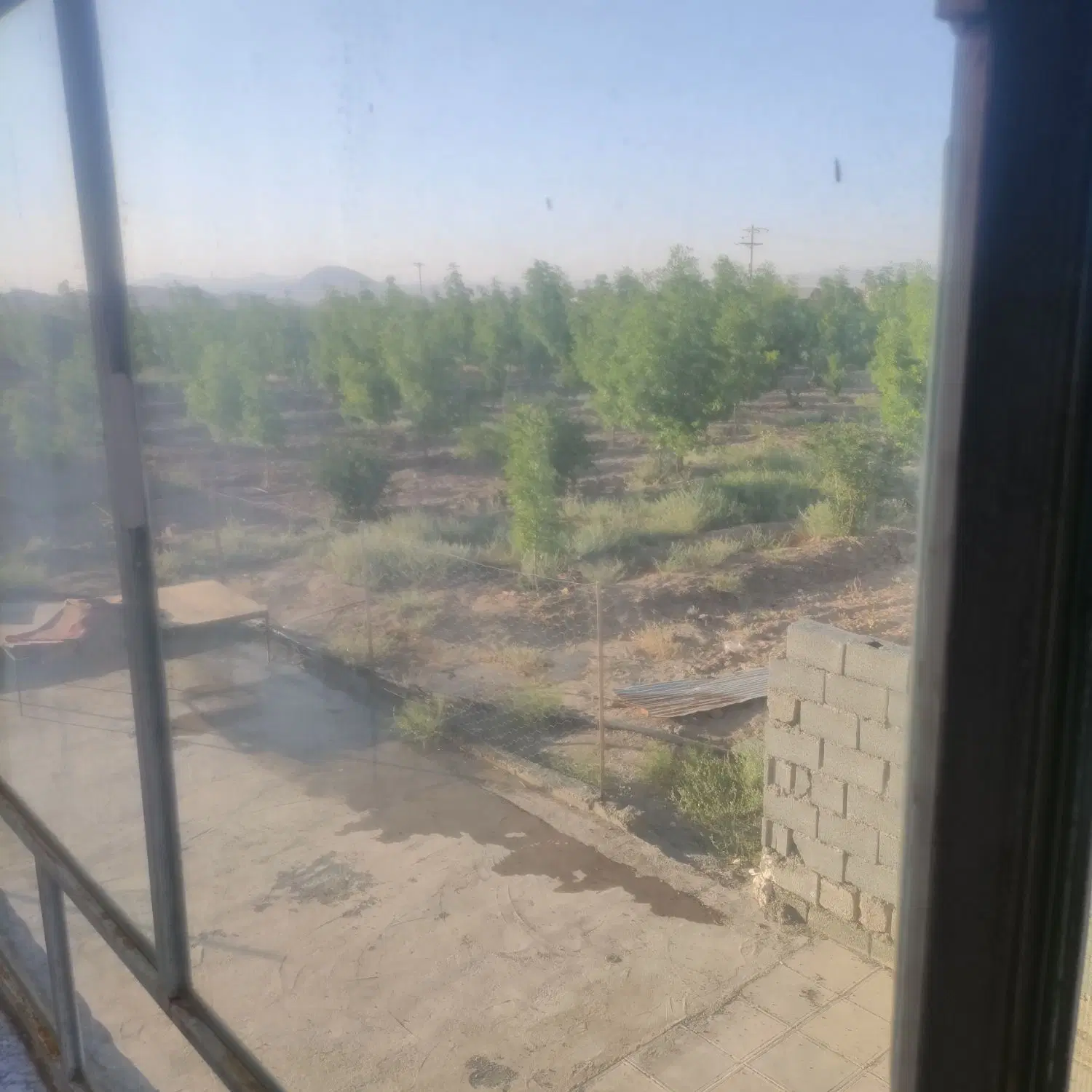 باغ منزل دشت بجد