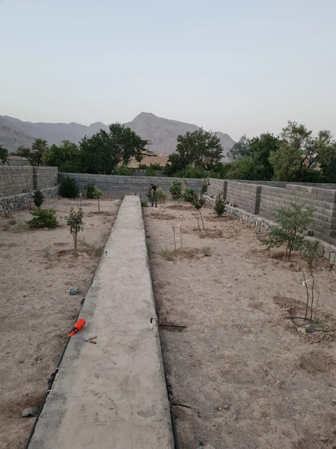 باغ اسلامیه تفت
