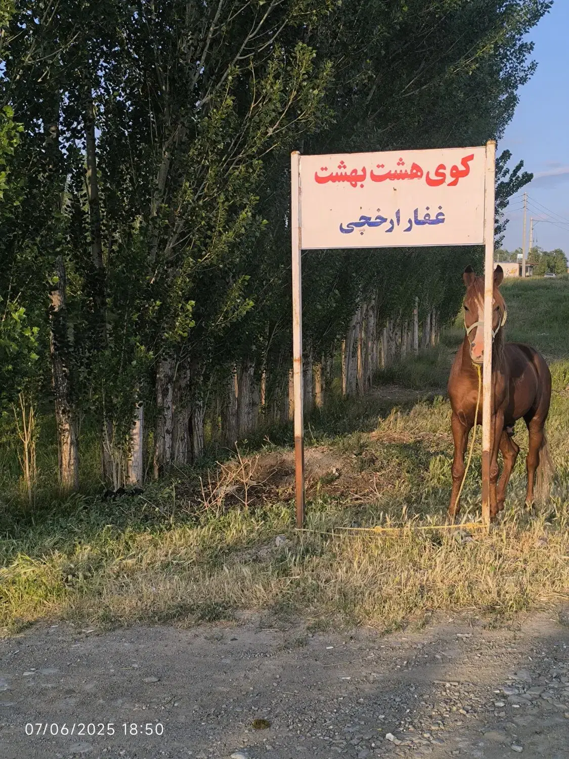 زمین ویلایی اسپیران کوی هشت بهشت