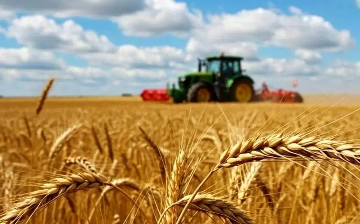فروش زمین ۲۰۵ متری شهرک برق
