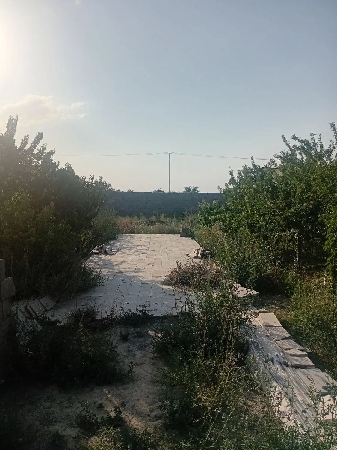 باغ ۵۰۰متری درشاهنامه ۷۶روستای جوادیه