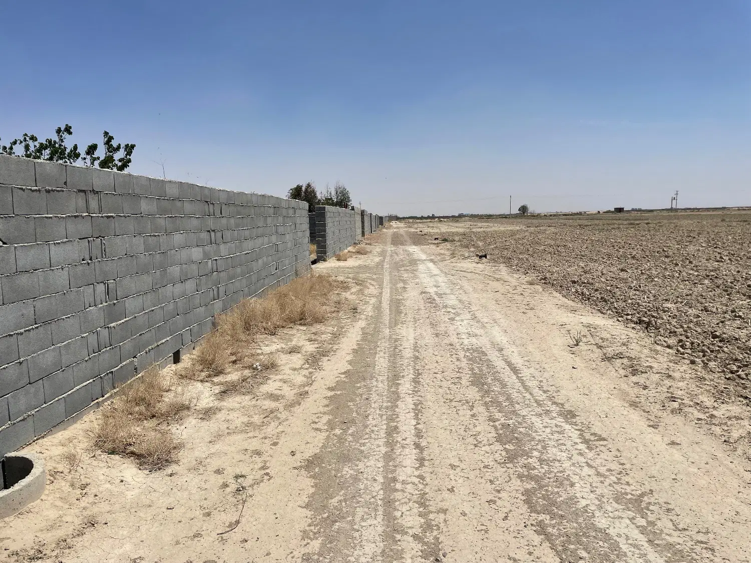 باغ ۴دیواری