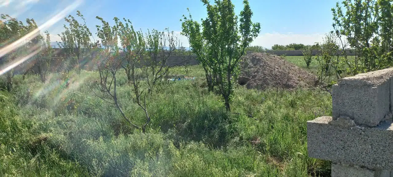 فروش زمین باغی