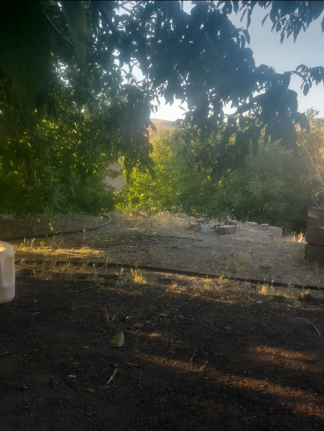 فروش باغ