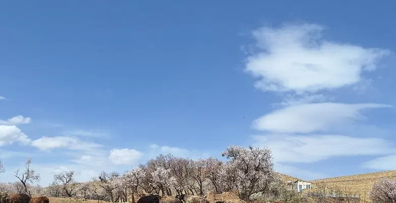 زمین مسکونی در آشتیان به متراژ ۲۸۰ متر
