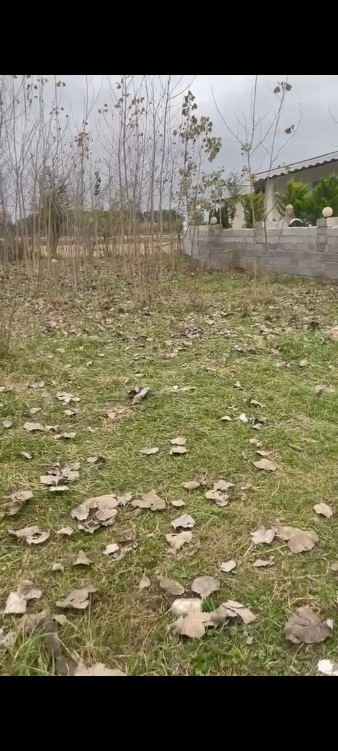 زمین ۴۱۸ متری تمام مسکونی