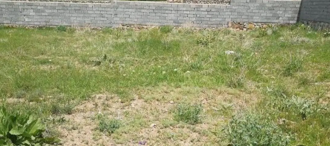زمین مسکونی