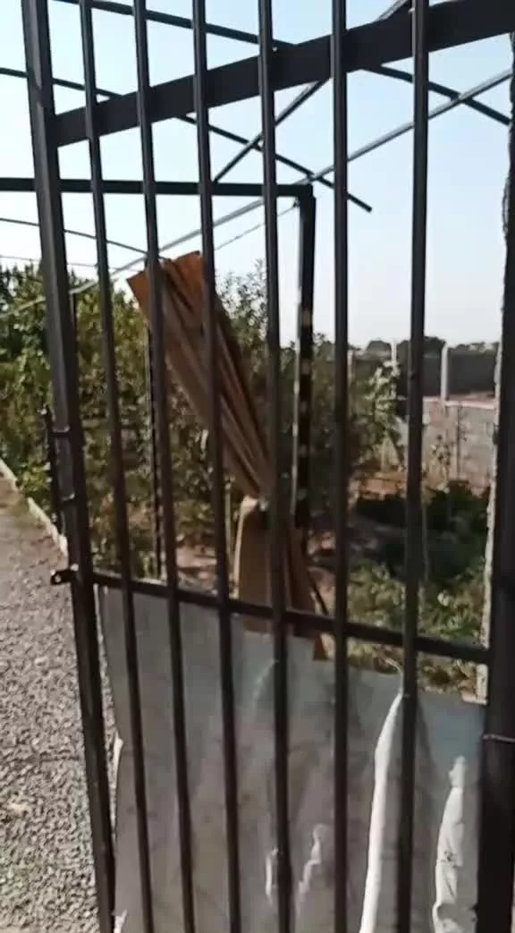ویلا فروشی درختان 4ساله از همه میوه‌ها هستش