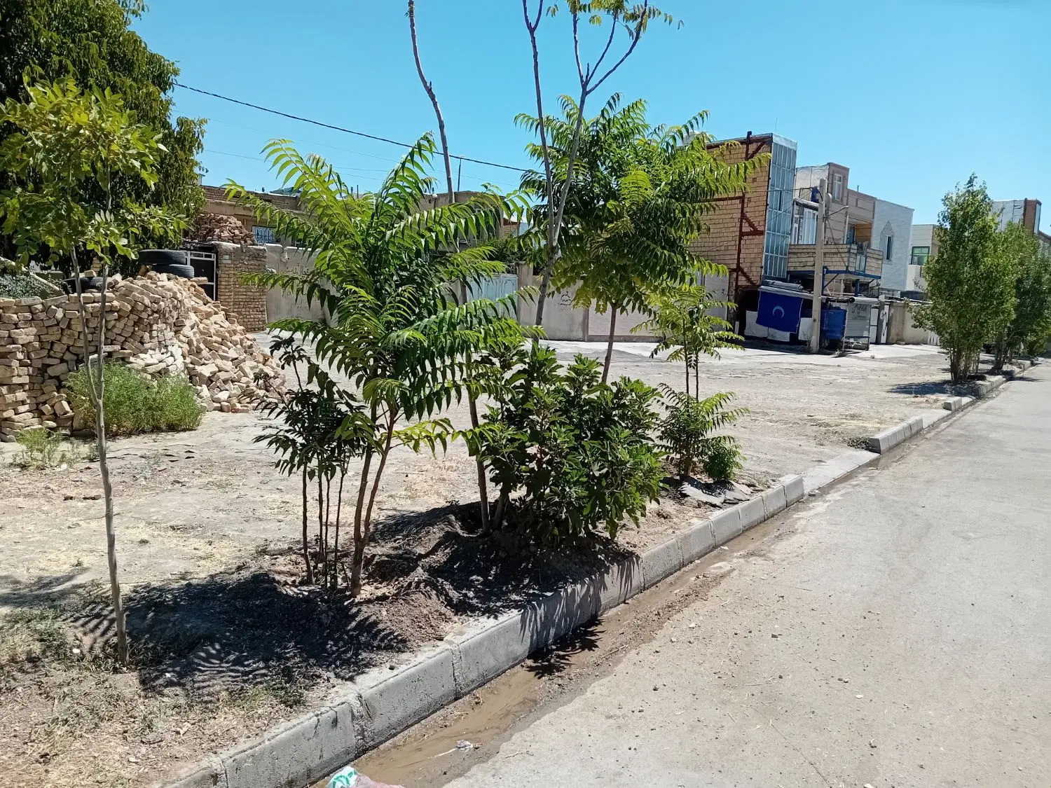 زمین ۲۶۵ دوکله بر