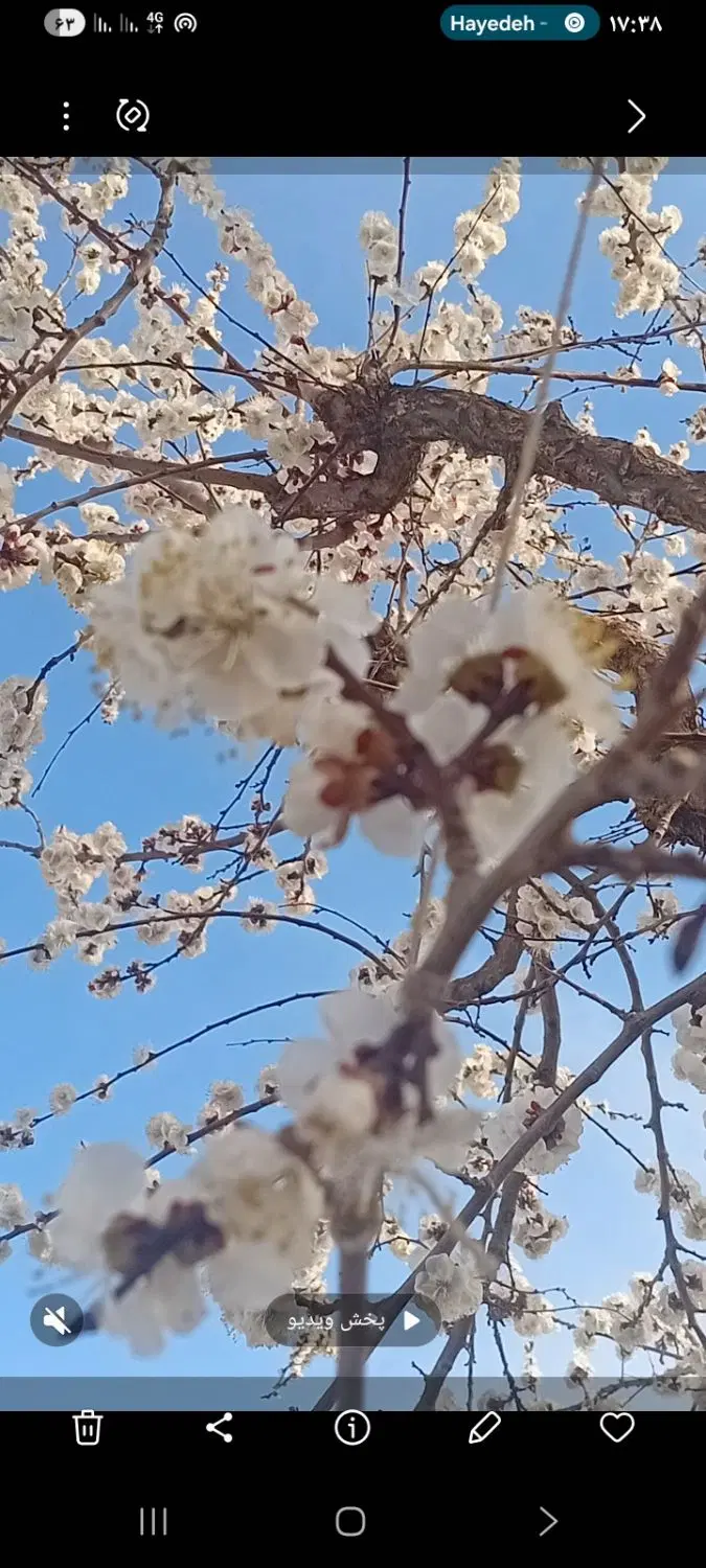 ۵۱۵ متر باغچه بهترین لوکیشن