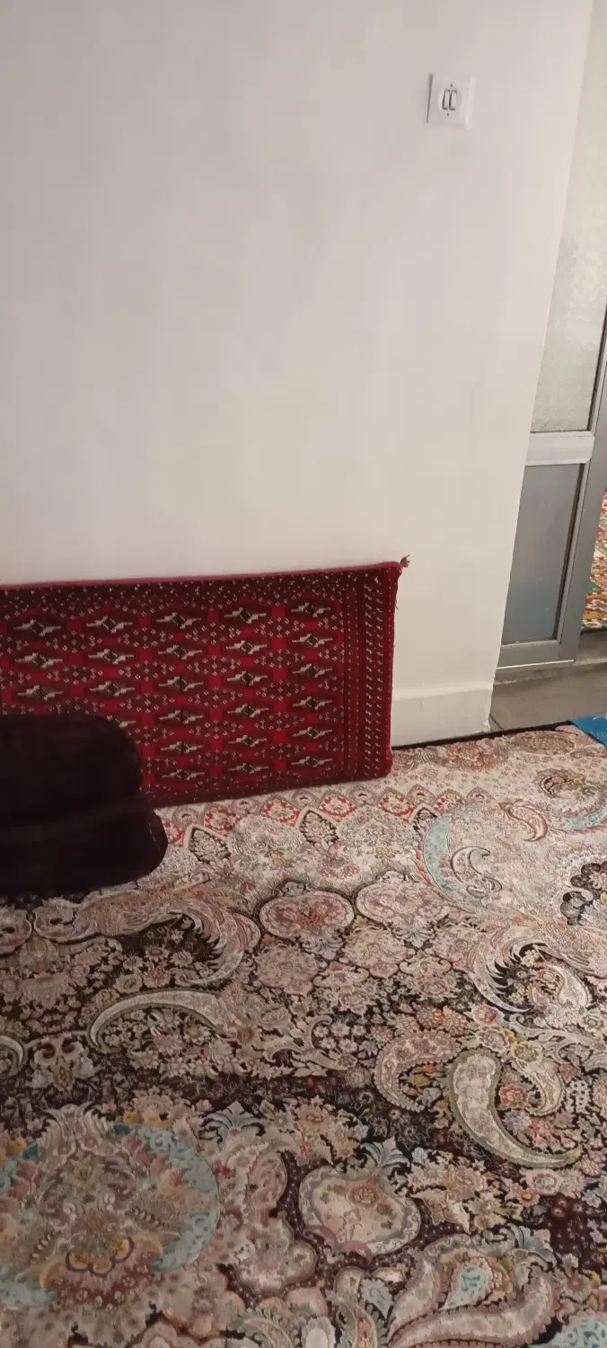 همخونه خانم میخوام