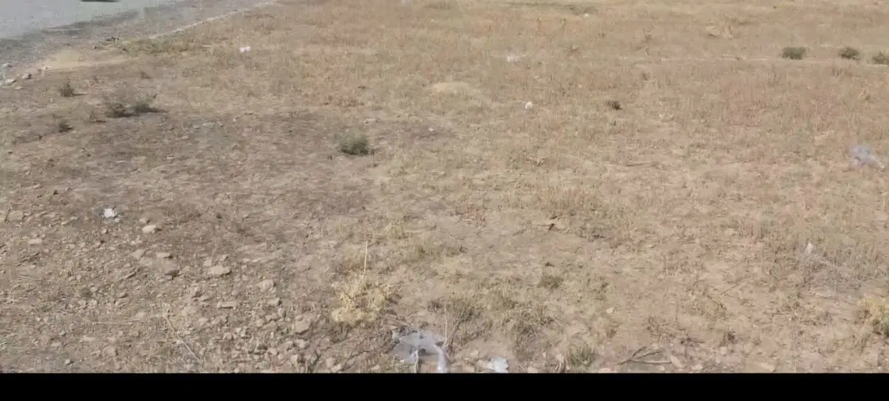 زمین ۲۰۰ متری شهرک بهارستان