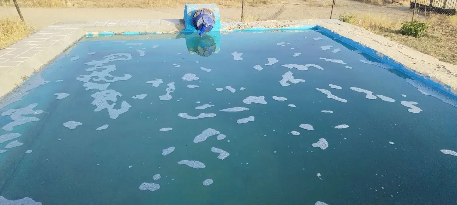 اجاره خونه باغ روزانه