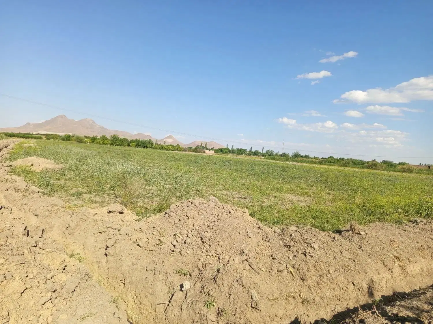 زمین  در شورکند
