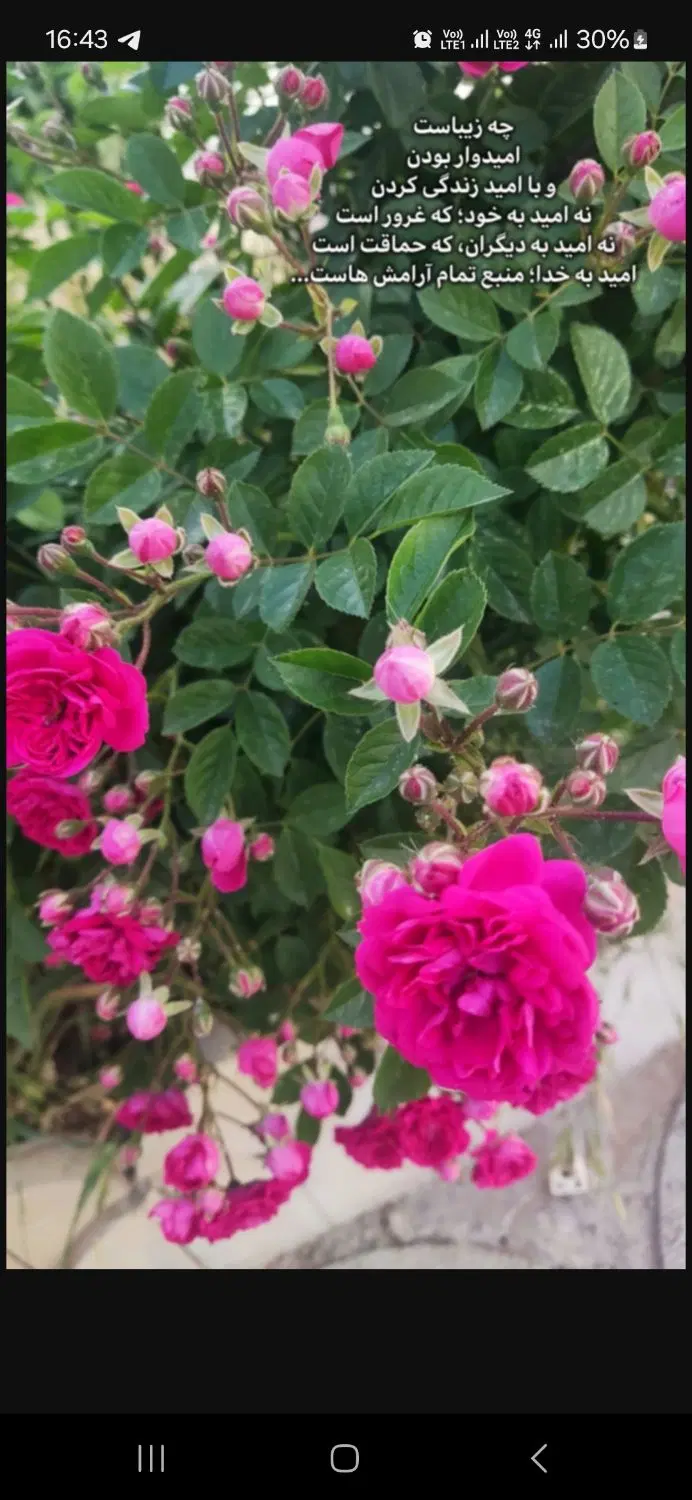 فروش باغ شهری