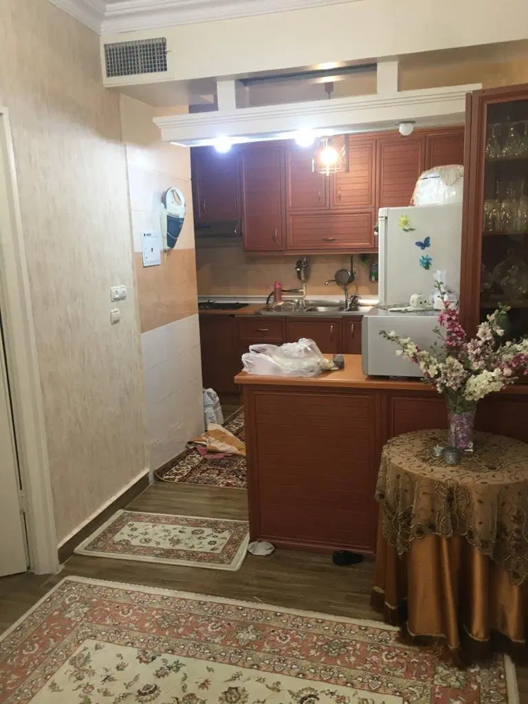 پرواز شمالی