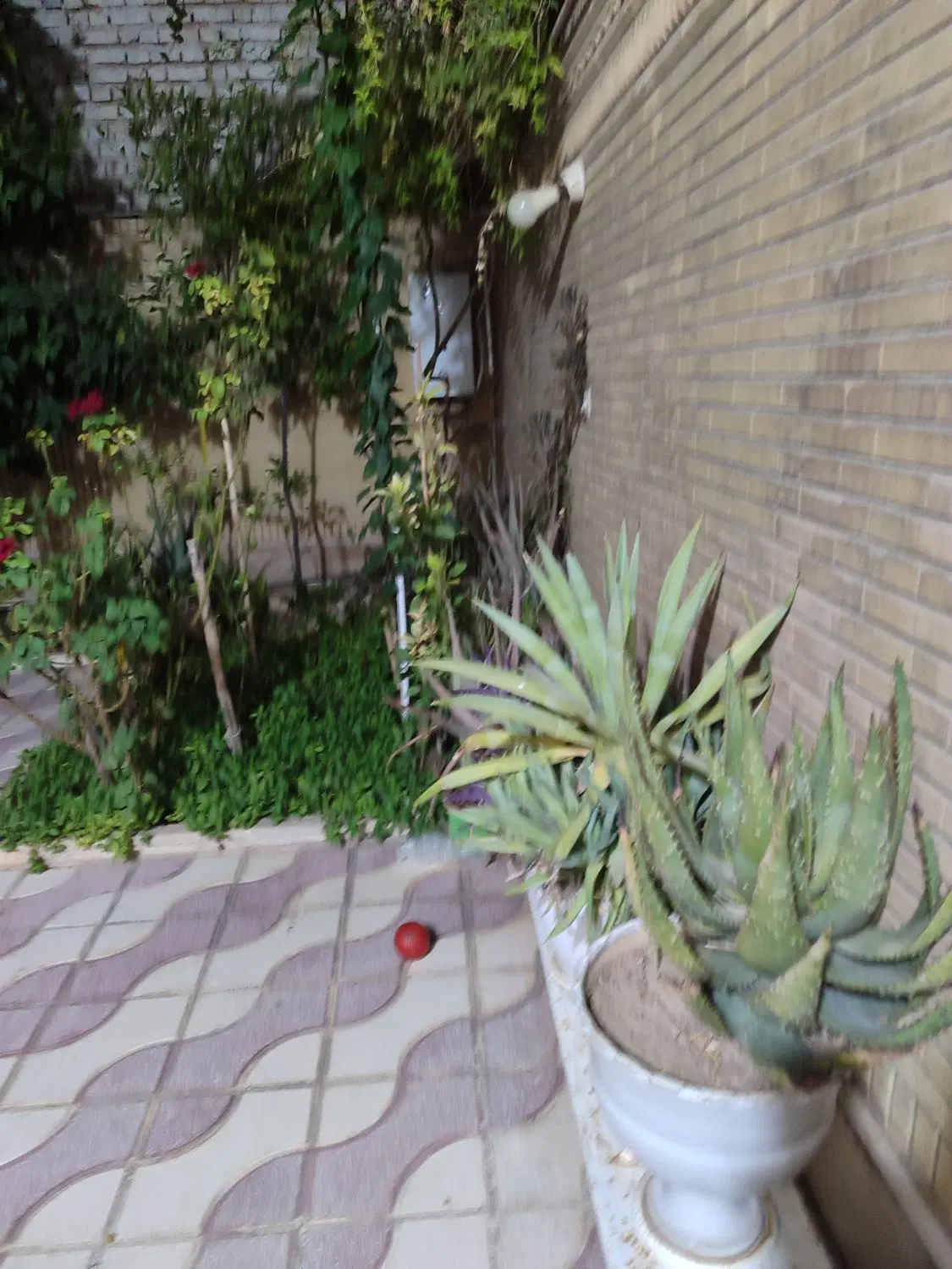 فروش زمین