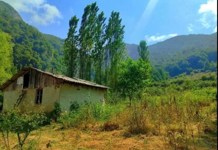 مشاور املاک پالم روستای زیارت