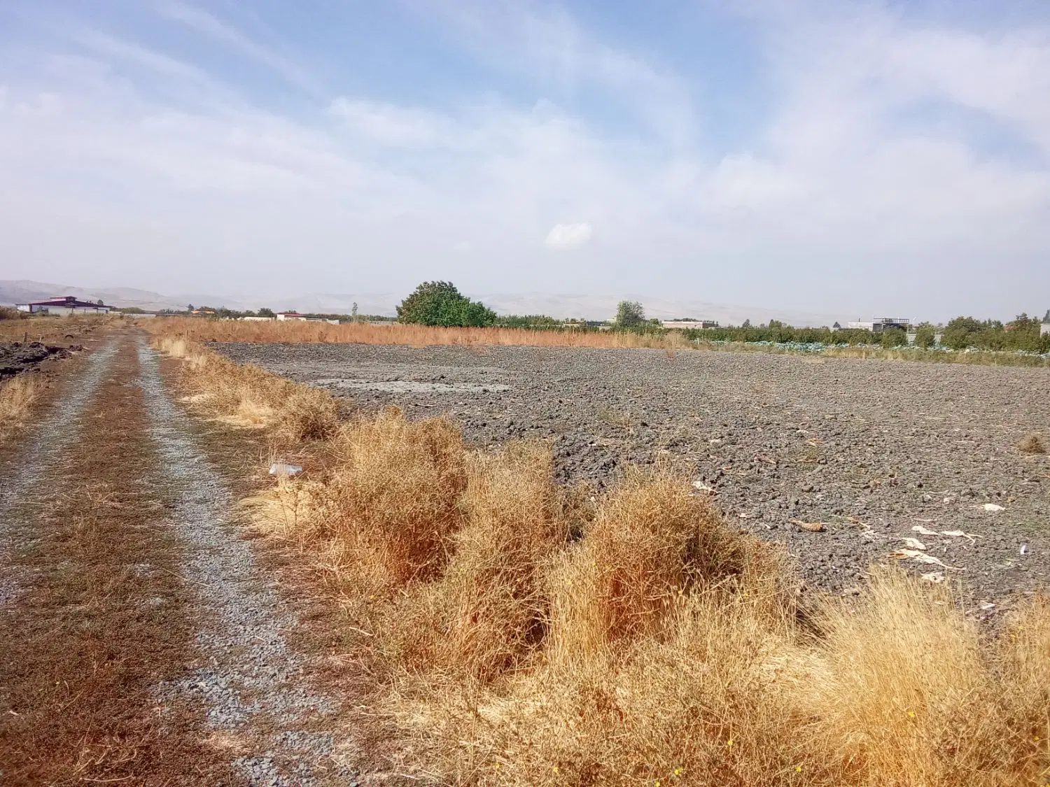 زمین کشاورزی به متراژ ۸۰۰متر پشت پگاه