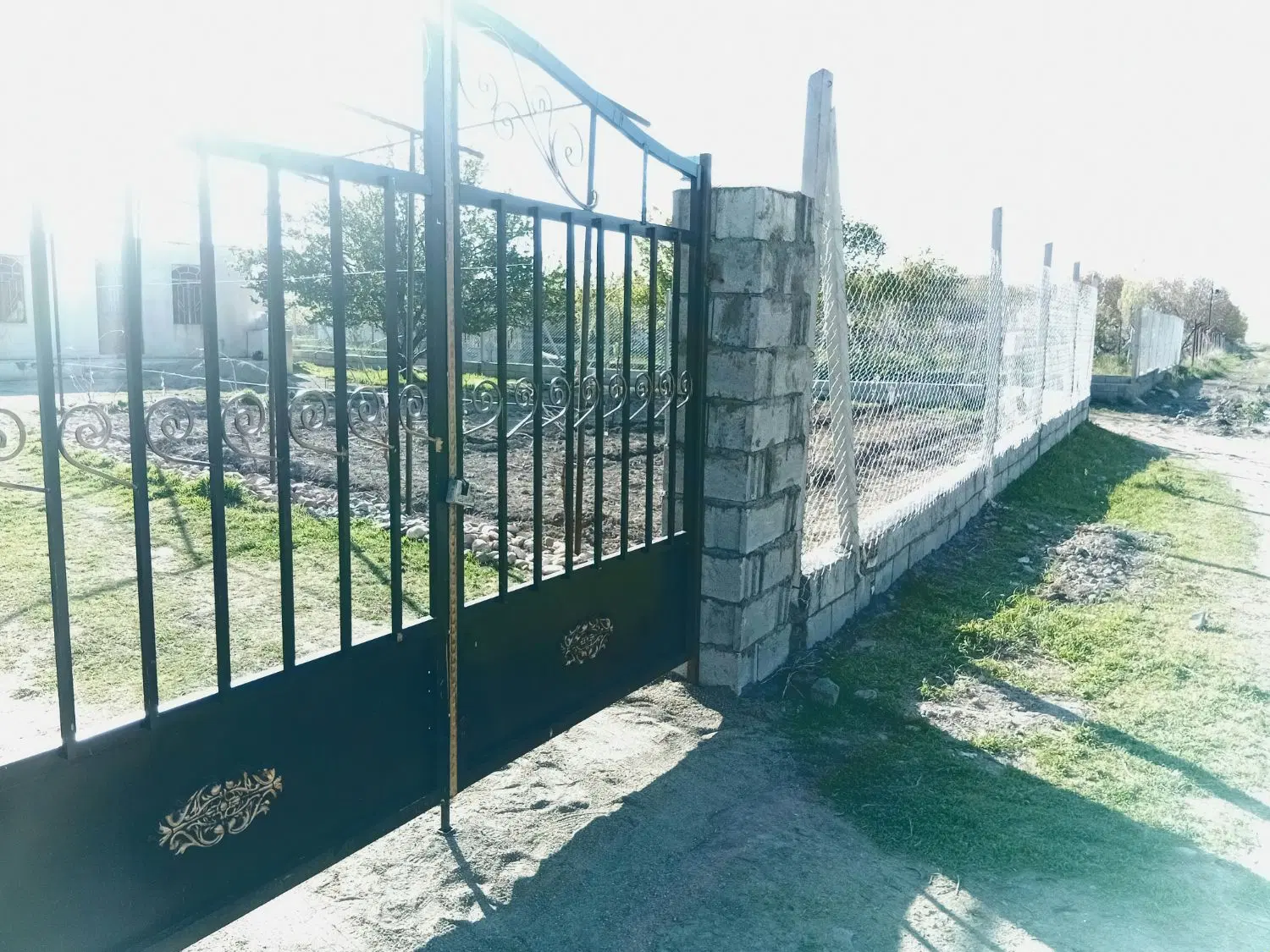 باغ ایستاده جوان سند دار