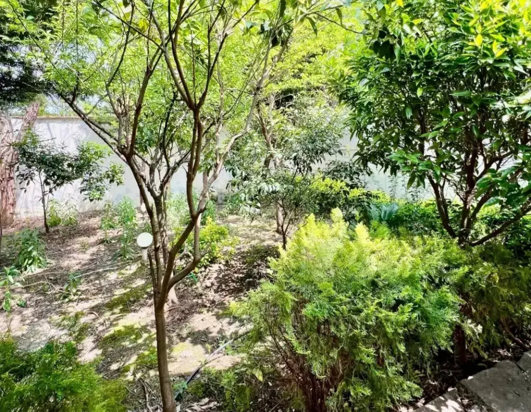 زمین چهار دیواری در  رشت