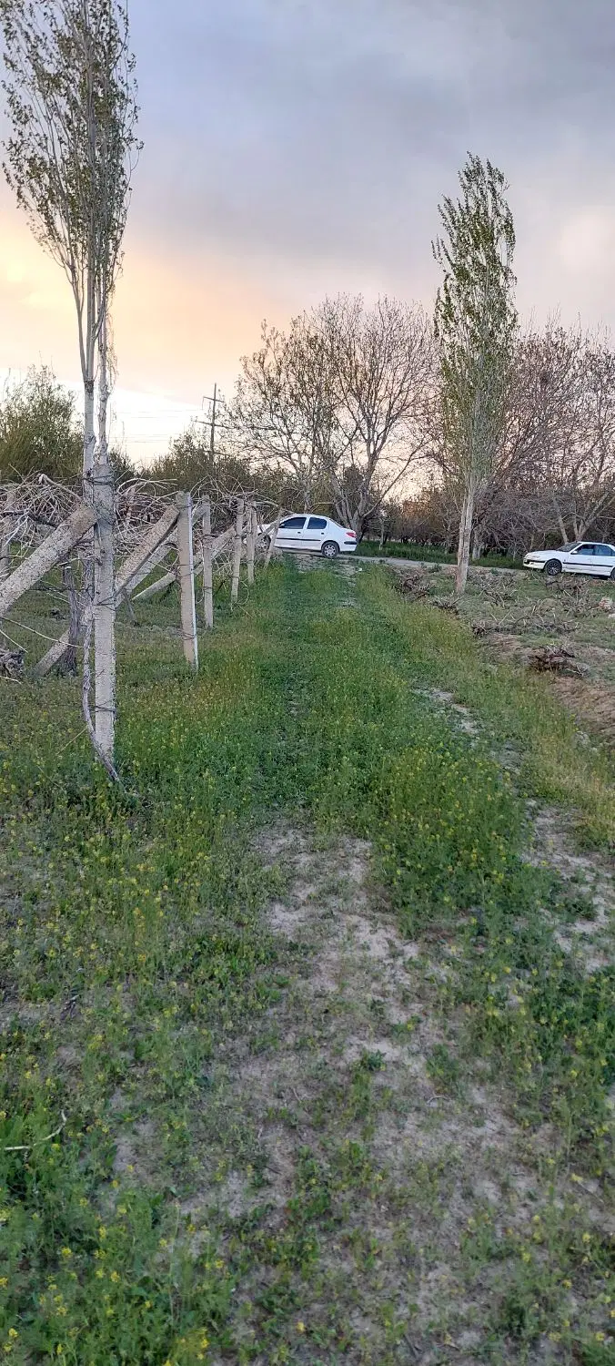 باغچه ۸۰۰ متر برق و چاه وشناور یغمورعلی