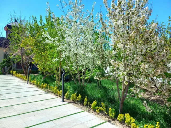 باغچه۵۰۰متری،۱۲۰متربنا،روف گاردن،سندتک برگ