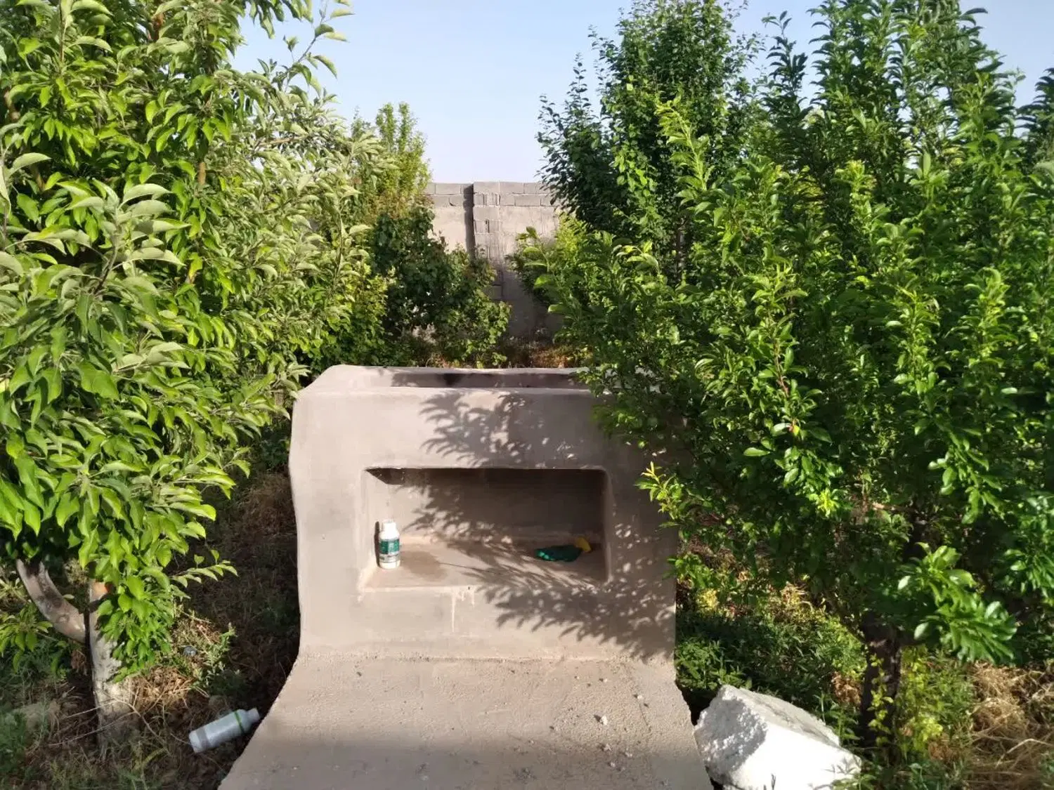 باغچه چهاردیواری