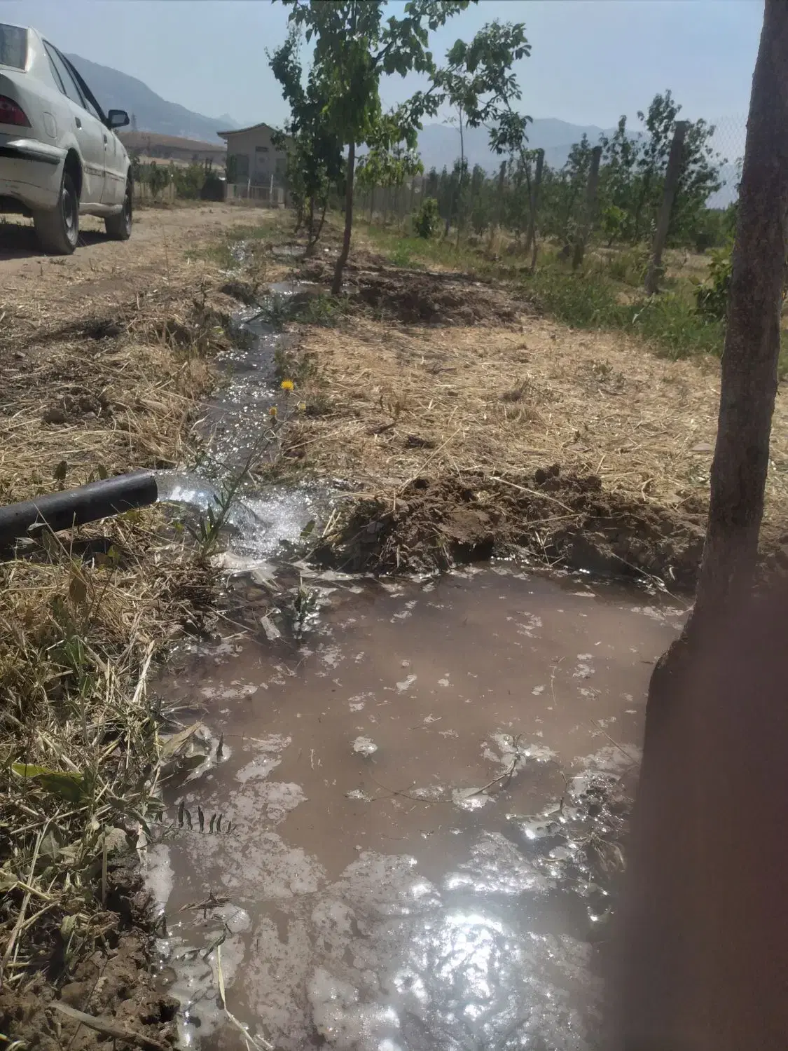 باغ ویلا روستای چغادون
