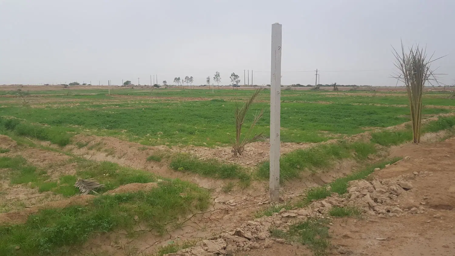 زمین باغ