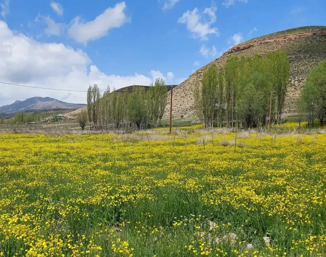 زمین فروشی