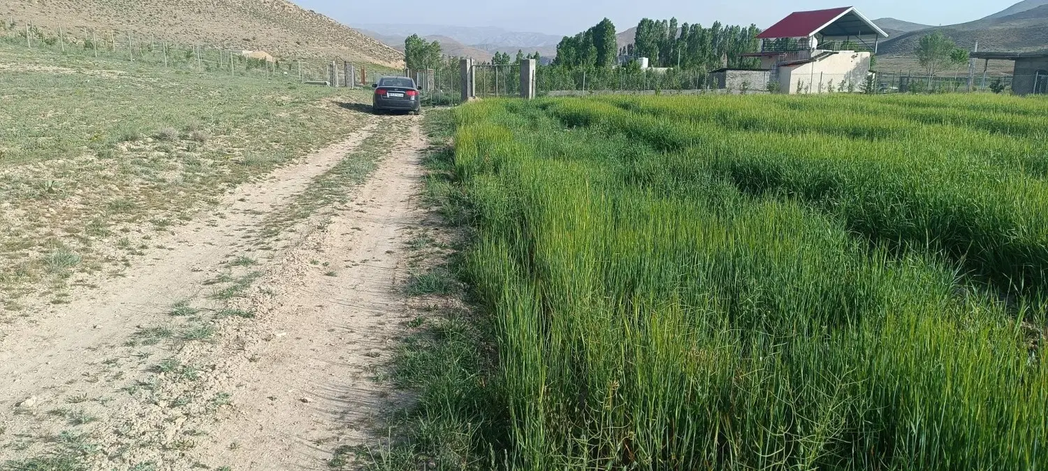 ۷۰۰متر زمین سند تک برگ ارجمند ابتدای جاده طارس