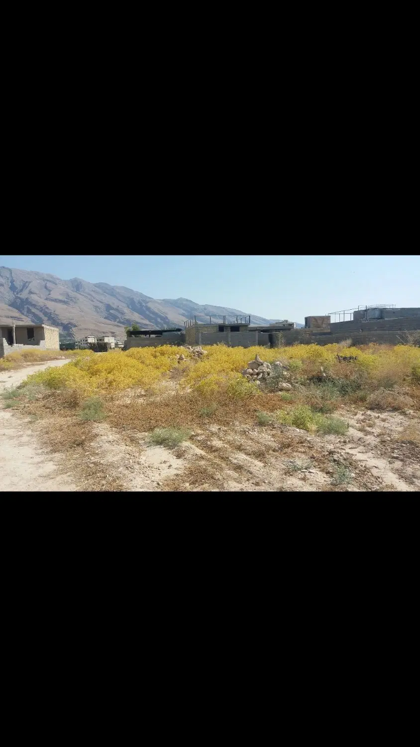 زمین