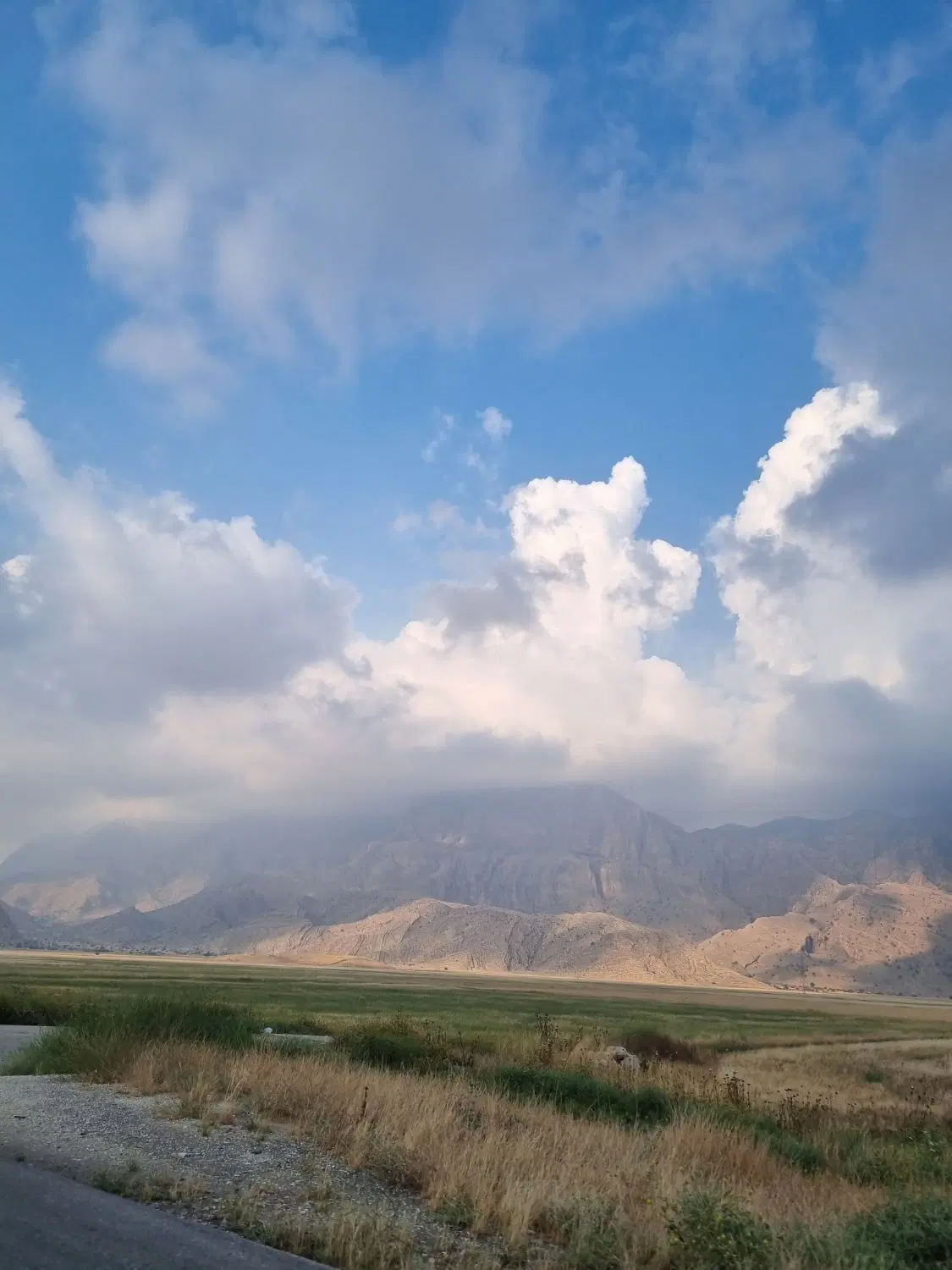 خو.اهان باغ نخل در چغاسایی و اطراف